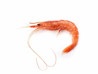 Gamba de Huelva fresca a domicilio