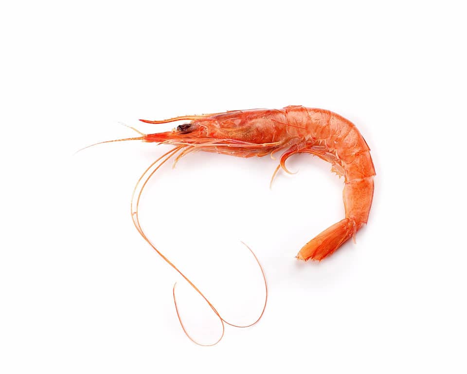 Gamba de Huelva fresca a domicilio