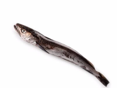 Media merluza anzuelo