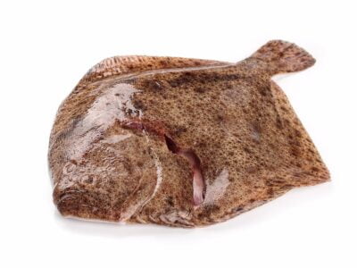 Pescadería Zaragoza: Rodaballo