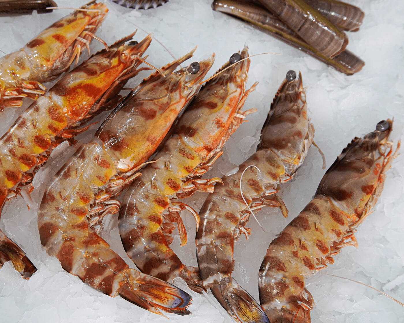 Mariscada premium para 6 personas - Imagen 3