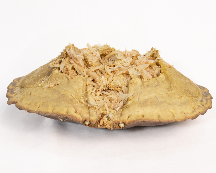 Inicio | Pescados Saturnino